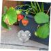 COHEALI 4pcs Heart Strawberry Mold Specialty Tools Strawberry Shaping Heart Shaped Fruit Mold Pp - Buy Online on GoSupps.com