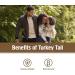 Om Turkey Tail Mushroom Superfood Powder - 100 Servings, Immune Support & Gut Health Supplement - 7.05oz - Buy Online on GoSupps.com