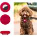TOYMIS 2 Pcs Pet Collar Holder Compatible with AirTag 9.5 mm Silicone Protective Case for Airtags for Pets Bags Elderly Children (Orange Red) Orange / Red - Buy Online on GoSupps.com