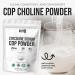 Pure Citicoline CDP Choline Powder Unflavored Choline Supplement for Focus Memory & Cognitive Support Smooth Mixing Non-GMO Vegan No Additives 40 g - Buy Online on GoSupps.com