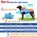 Waterproof Reflective Dog Raincoat for Safety | Orange-Blue Large | Multi Purpose Rain Jacket for Small Medium Large Dogs - Buy Online on GoSupps.com