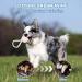100% Natural Hemp Dog Toys Set - Durable Rope & Knot Ball for Training | Perfect for Puppies Medium & Large Dogs - Buy Online on GoSupps.com