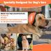 Famikako Dog Ear Muffs for Noise Protection 25dB NRR - Orange Dog Ear Plugs for Thunder, Fireworks, Vacuums - Buy Online on GoSupps.com
