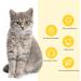 2 Pack Natural Collar for Cats | 8 Months Protection | Adjustable, Waterproof, & Includes Comb | One Size Fits All - Buy Online on GoSupps.com