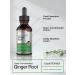 Ginger Root Extract 2 oz | Alcohol-Free Super Concentrated Liquid Supplement | Vegetarian, Non-GMO, Gluten-Free | Horbaach - Buy Online on GoSupps.com
