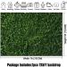 HQM 7x5FT Nature Spring 3D Green Leaves Photo Background for Wedding, Birthday, Baby Shower Photography - Buy Online on GoSupps.com
