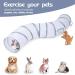 Sheldamy 4-Way Cat Tunnel for Indoor Cats - Collapsible Interactive Play Toy with 1 Play Ball - White & Grey - Buy Online on GoSupps.com