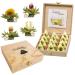 Creano Teelini tea blum in cup format gift set in wooden tea box 12 blooming tea in 4 varieties white tea gift for women mother tea lover