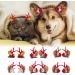 Miaija 12Pieces Pet Elk Hair Bows Clips Winter Funny Cute Xmas Dress Up Christmas Dog Hair Grooming Accessories for Small Puppy Cat Long Hair - Buy Online on GoSupps.com
