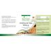 Fairvital | Soy Lecithin 500mg - VEGAN - High Dose - 120 Licaps - Buy Online on GoSupps.com