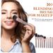 POPETPOP Makeup Applicator 1 Set makeup brush set female makeup brochas de maquillaje makeup brush for girls concealer brush eyeshadow cosmetic eye brush lip brush Miss wooden major - Buy Online on GoSupps.com