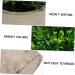 TOPBATHY False Green Plant 5 Pcs Simulated Potted Plant Pulp Potted Plants Household Fake Trees Artificial As Shownx5pcs 21.5x8cmx5pcs - Buy Online on GoSupps.com