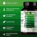 Emerald Labs Liver Health with Silymarin & Meriva Phytosome - 60 Capsules - Buy Online on GoSupps.com