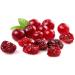  LA PLANTIGO Dried cranberries in pieces 250 g - LA PLANTIGO - Buy Online on GoSupps.com