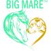 Big Mare Horse Thrush Spray | Clinically Proven Effective On Thrush. No Sting No Stain Formulation. Veterinary Approved & Recommended. - Buy Online on GoSupps.com