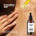 Cannibia Genuine Organic Hemp Oil Pure & Natural 100 ml Intense Hydration & Anti-Aging Body Skin Face Hair. - Buy Online on GoSupps.com