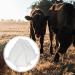 POPETPOP Milk Hood | Calf Weaner Tool & Cow Breastfeeding Equipment - Outdoor Farm Supplies - Buy Online on GoSupps.com