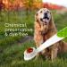 RADIUS Organic Dog Toothbrush & Toothpaste Kit - Non-Toxic, Firm Bristle, Dental Care for Adults - Buy Online on GoSupps.com