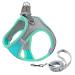 Giapinst dog harness Small dogs no pull dog harness adjustable pet safety dishes with breathable mesh and reflective stripes for medium-sized dogs (XS green and gray) XS (breast: 12.6-14 ") Green and gray