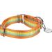 Dazzber Martingal Collars for Dogs | Adjustable Heavy-Duty Soft Smooth | Large/Small | 2.5cm Wide | Orange & Yellow - Buy Online on GoSupps.com