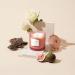 La Jolie Muse Damascen Rose Fragrance Candle - 75 Hours of Aromatic Bliss Natural Wax & Floral Aroma - Perfect Gift for Women - 285g Rose Noir & Oud - Buy Online on GoSupps.com