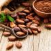 Kevala Organic Raw Cacao Beans 1lb - Premium Quality Superfood - Buy Online on GoSupps.com