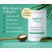 ALGAECAL Bone Builder & Collagen Bundle Clinically-Supported Collagen with Verisol Fortibone Fortigel + Plant-Based Calcium Strontium D3 K2 Magnesium & 16 Nutrients for Beauty & Bone Health - Buy Online on GoSupps.com