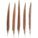 AWAYTR 20pcs Natural Female Pheasant Feathers - 8-11inch DIY Decoration - Buy Online on GoSupps.com