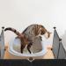 POPETPOP Cat Litter Box Enclosure : 1 Set Cat Litter Box Splash Guard Cat Litter Box Shields Litter Box Screen Privacy for Pet Toilet 35X35X0.2cm - Buy Online on GoSupps.com