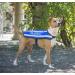 TRAINING (Dog In Training/Do Not Disturb) Blue Colour Coded S M L Reflective Waterproof Fleece Lined Warm Dog Coats PREVENTS Accidents By Warning Others Of Your Dog In Advance (M-L) Medium Coat - Buy Online on GoSupps.com