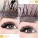 Eyelash Cleanser Concentrate 100ml Calendula Professional Lash Extensions Shampoo Natural Foaming Cleanser DIY Paraben & Sulfate Free Non-lrritating Wash for Extensions Lashes with Salon Home Care-Makes 60ml Bottles Eyelash Shampoo Calendula 100ml - Buy Online on GoSupps.com