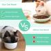 ComSaf Ceramic Cat Feeding Bowl Wide Shallow Cat Food Water Dish Whisker Friendly Design Whisker Fatigue Free shallow cat bowl Non Spill Pet Bowl 300ML Pack of 2 Green Green*2 - Buy Online on GoSupps.com