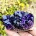 Home 100-160g Natural Dream Amethyst Quartz Crystal Cluster Specimen Crystal Cluster (Size : 140-160g) - Buy Online on GoSupps.com