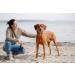 Trixie Be Nordic Plush Toys for Dogs | Maritime Cuddly Toy - Robust Durable Plush | Ideal for Play & Cuddle - 36063 - Buy Online on GoSupps.com