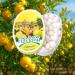  G n rique Anis de Flavigny Authentic aniseed candies in a 50g oval tin Lemon | Tradition & Artisanal Pleasure - Buy Online on GoSupps.com