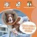 Kuoser Rescue Dog Collar - Adjustable Leak Protection & Wound Prevention for Dogs - Orange (Neck Circumference: 34-40cm) - Buy Online on GoSupps.com