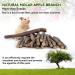 XLpeixin 200g Apple Sticks Chew Toys for Small Animals - Molar Wood Treats for Rabbits, Chinchillas, Guinea Pigs, Hamsters, Gerbils, and Bunnies - Buy Online on GoSupps.com