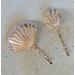 6PCS Retro Shell Shape Rhinestone Hair Pins for Women - Vintage Bobby Pins Hair Clips for Styling and Decorative Headwear - Buy Online on GoSupps.com