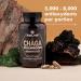 Solve Labs Premium Siberian Chaga Capsules 10% Beta-D-Glucans 10:1 Extract Zero Fillers & Additives 60 Capsules 1 Month Supply - Buy Online on GoSupps.com