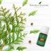 Young Living Hinoki Essential Oil 5 ml | Calming Aroma for Diffusing & Meditation | Refreshing Ambiance for Work & Study | Perfect Post-Workout Massage Oil - Buy Online on GoSupps.com