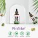 Liposomal Vitamin B Complex High-Dose Drops - 60ml | Vegan No Additives Supports Nervous & Immune System | 5-Pack - Buy Online on GoSupps.com