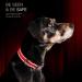 Heele Reflective Dog Collar - Nylon & Neoprene Padded for Small to Large Dogs 34-52 cm Red - Durable & Comfortable Pet Accessory - Buy Online on GoSupps.com
