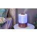 BlueHills Premium 2500 ML XL Essential Oil Diffuser | 30 Hr Aromatherapy & Humidifier | 7 LED Colors | Auto Shut Off | Perfect for Large Rooms - Buy Online on GoSupps.com
