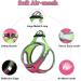 Doramio Dog Harness for Small Dogs - Reflective & Breathable Safety Harness with Leash | Ideal for Dogs & Cats (L Rose Red) - Buy Online on GoSupps.com
