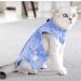 Yoolhamy Katzenbody Professional Recovery Suit for Cats | Post-Op Castration & Abdominal Wound Care | E-Collar Alternative | Blue - Buy Online on GoSupps.com