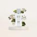 DIVAIN-551 - Inspired by Valentina Pink - Perfume Impression for Woman - Chypre Fragrance - Buy Online on GoSupps.com