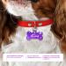 Ibera Gifts - Personalized Bone-Shaped Dog & Cat Collars | Engraved Neck Bands for Medium to Large Pets (Purple Stars) - Buy Online on GoSupps.com