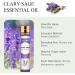 Aoruilia 10ml Clary Sage Essential Oil 100% Pure Natural Clary Sage Oils for Diffusers for Home Aromatherapy Calming Massage Bath Yoga DIY Perfume & Candles Clary Sage 10 ml (Pack of 1) - Buy Online on GoSupps.com
