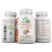 Turkey Mushroom Extract 120 Capsules | High Strength 38% Beta Glucans | 100% Fruiting Bodies | No Additives | UK Made GMP Standards - Buy Online on GoSupps.com