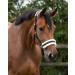 Netproshop Solid Horse Halter - Padded Adjustable Size for Mini Shetty to Full U Cold Blood - Black - Buy Online on GoSupps.com